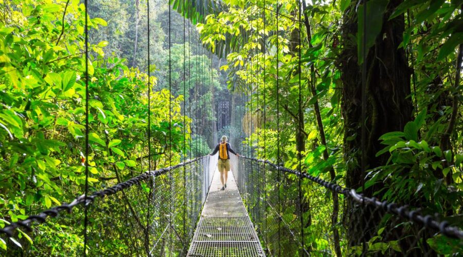 65 Interesting Facts About Costa Rica Ecotourism And Sustainability