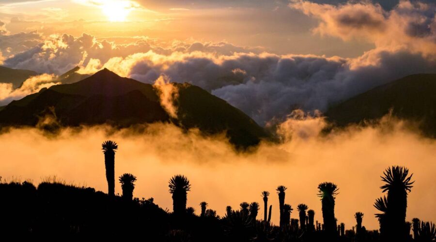 10 Best Hiking Trails In The National Parks of Colombia