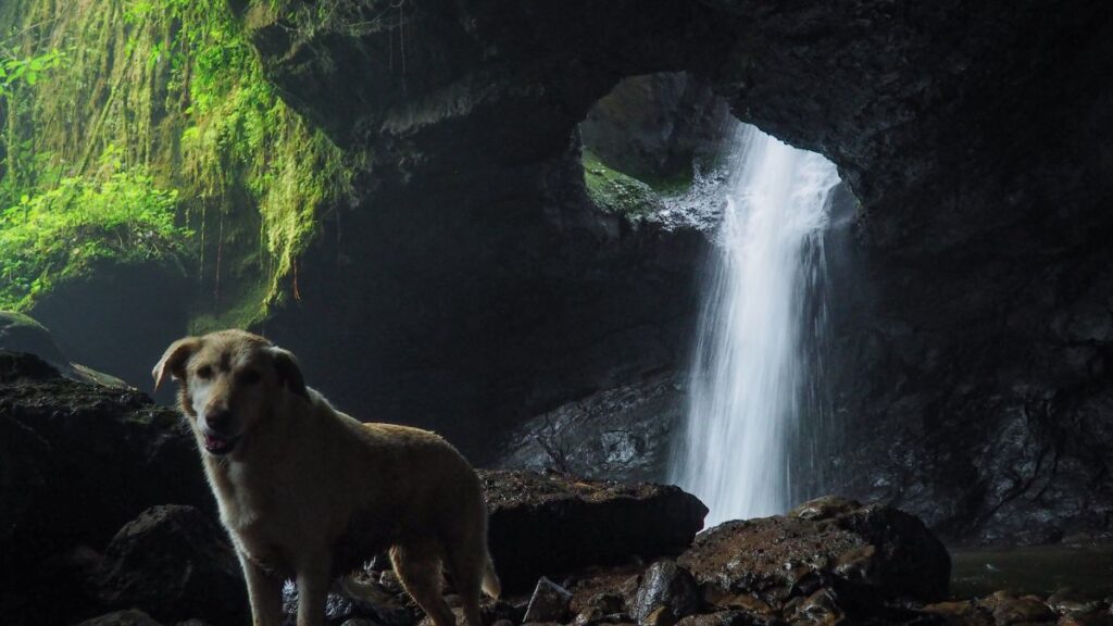 Cueva del Esplendor