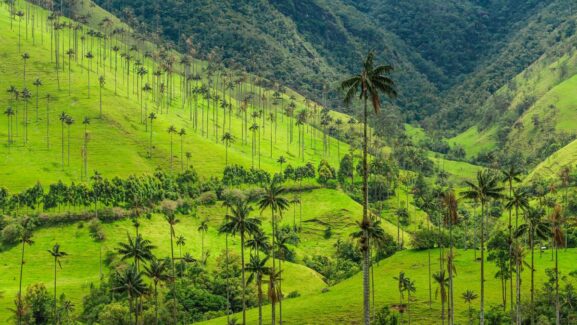 Colombia Ecotourism